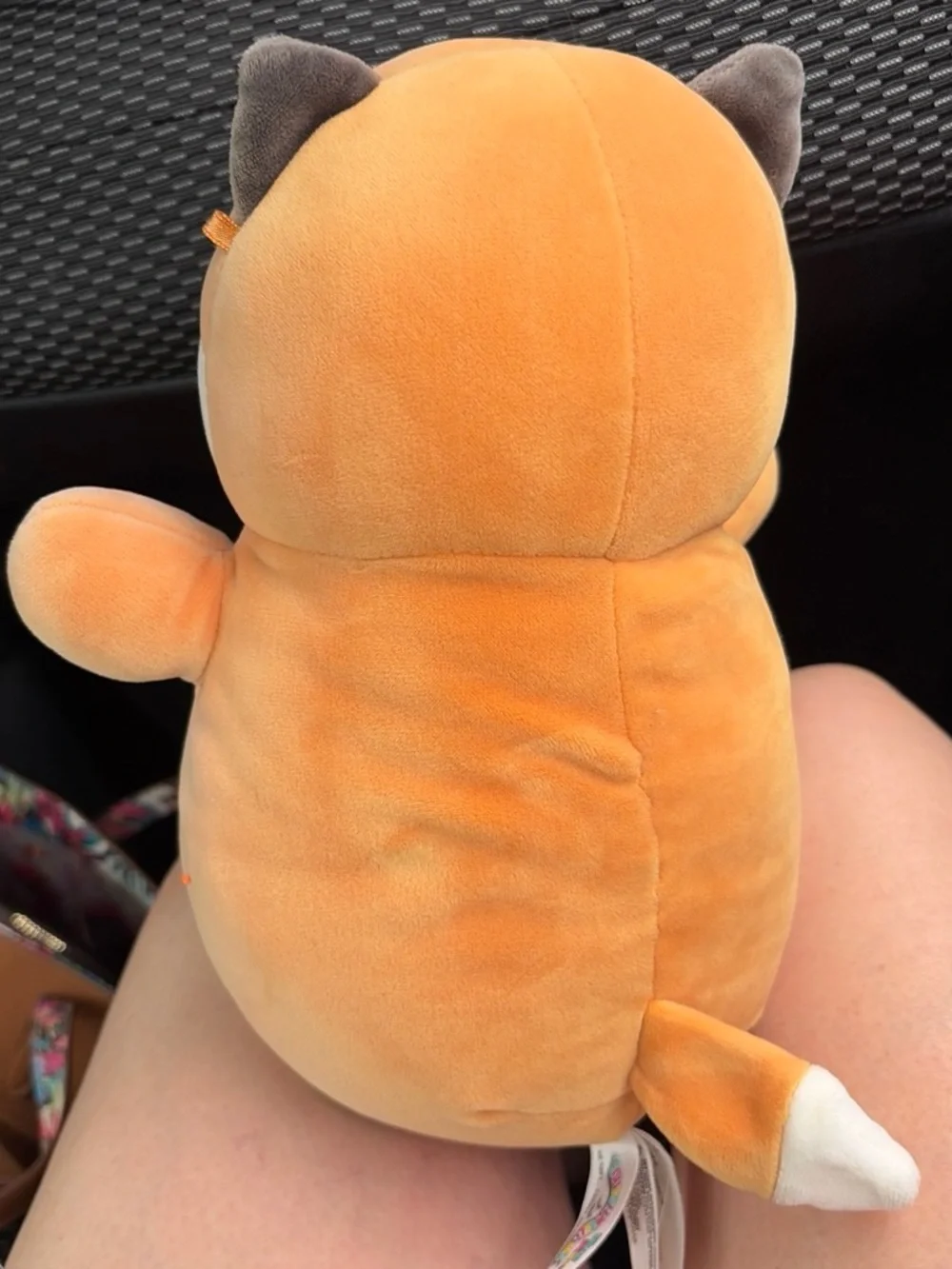Squishmallows Peach & Cream Fox Plush